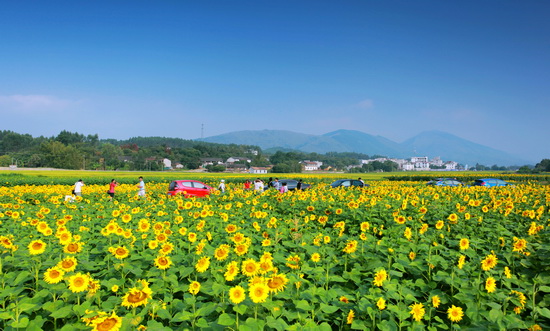 主要景区景点:武台民俗文化村(3星级乡村旅游区,武宣百崖大