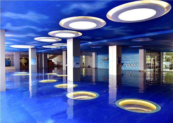 滨湖路小学:梦开始的地方