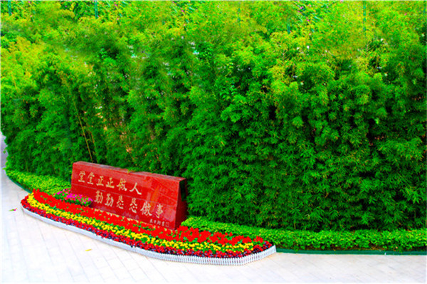 �ݷ�Сѧ����������   �����೤